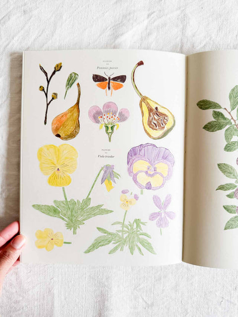Carnet coloriage et stickers - Le jardin