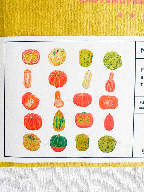 Guirlande Courges