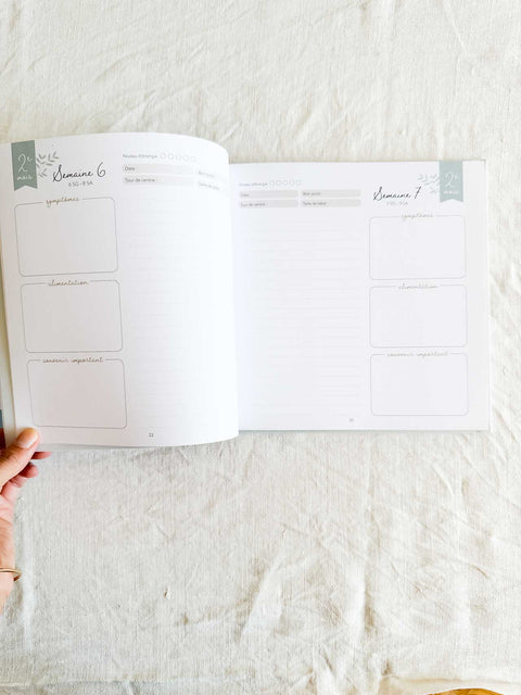 Journal de grossesse