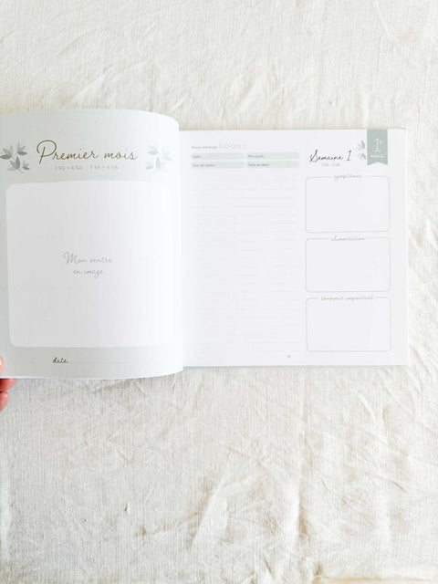 Journal de grossesse