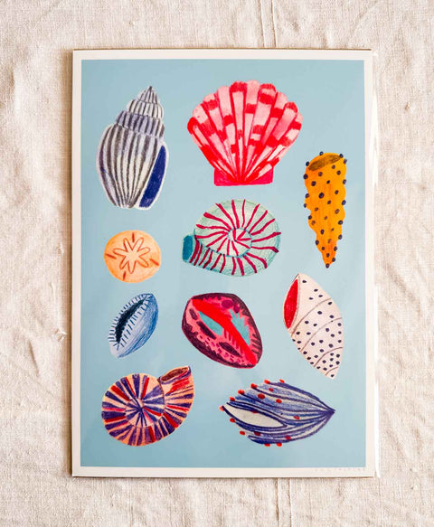 Affiche - Coquillages