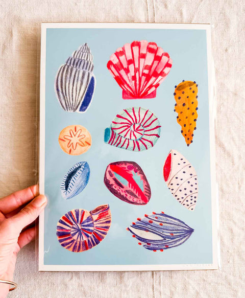 Affiche - Coquillages