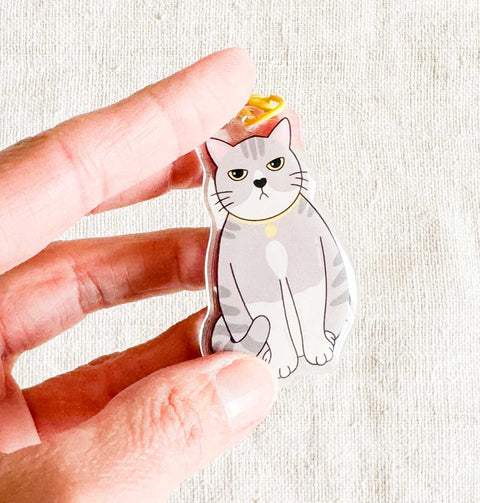 Porte clé époxy Chat tigré