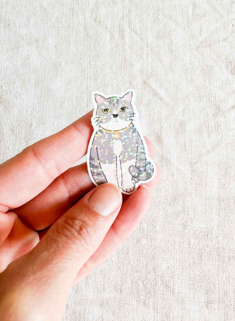Stickers vinyle holographique – Studio Hawaii 1