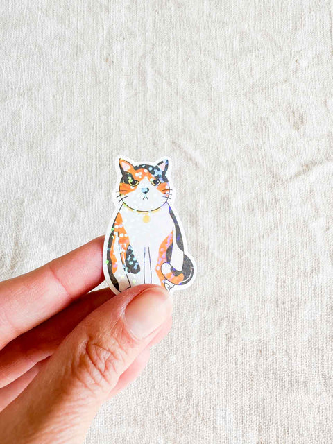 Stickers vinyle holographique – Studio Hawaii 1