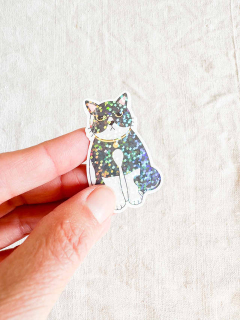 Stickers vinyle holographique – Studio Hawaii 1