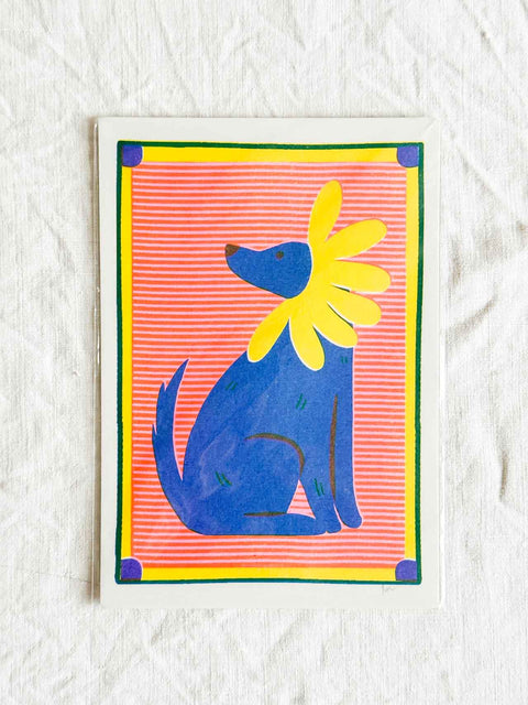 Affiche Riso PM Labrador Daisy