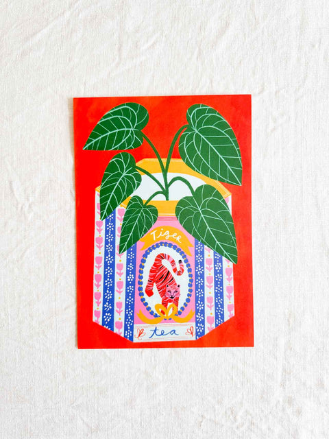 Affiche Alocasia Vase tigré