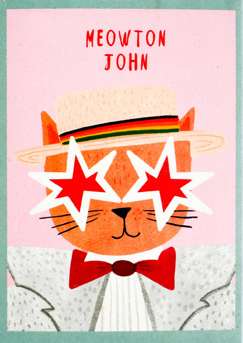 Mini puzzle 99p. Meowton John