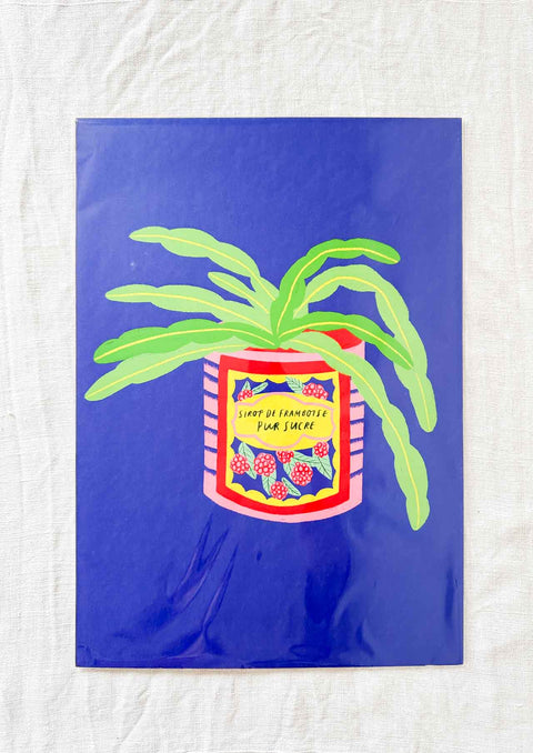 12220_ - Affiche Cactus dans boîte vintage