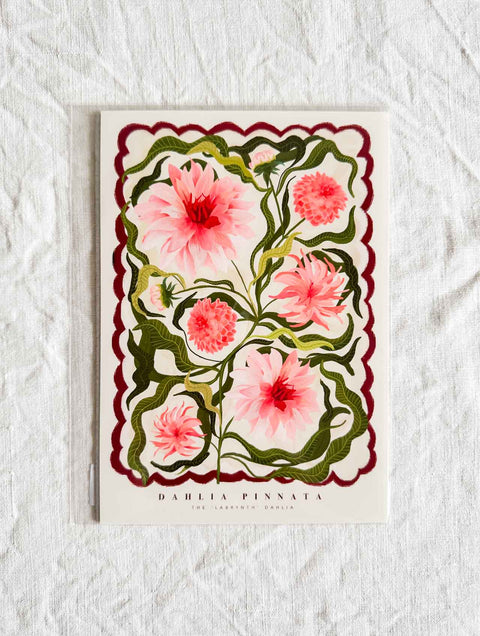 Affiche Dahlia Pinnata