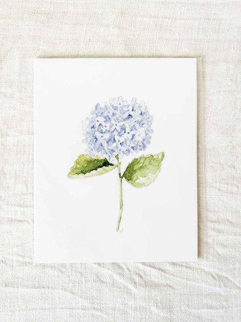 Affiche Tige d'hortensias