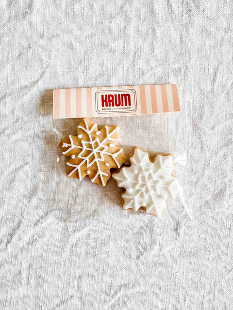 Biscuit - Cozy Christmas