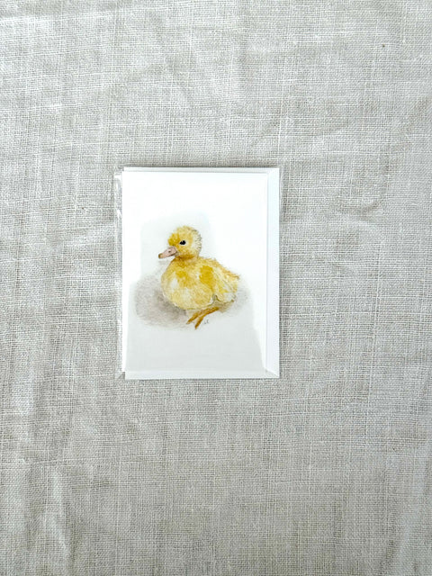 Mini carte Caneton