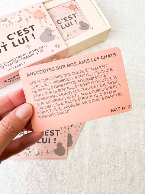 Chat, c'est tout lui