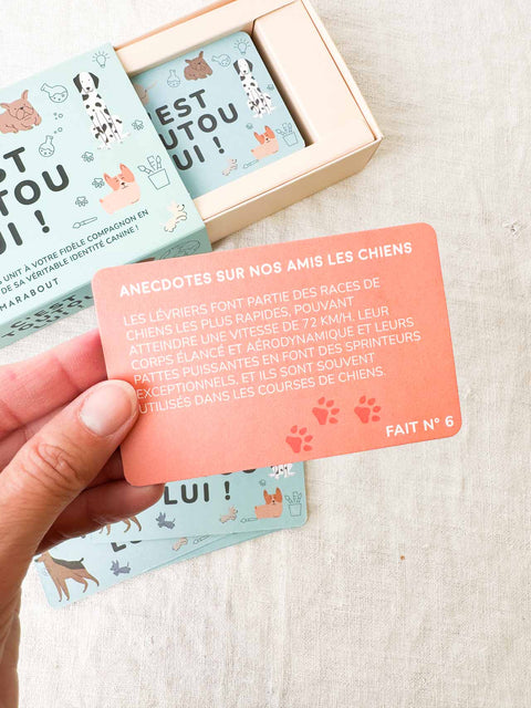 C'est toutou lui