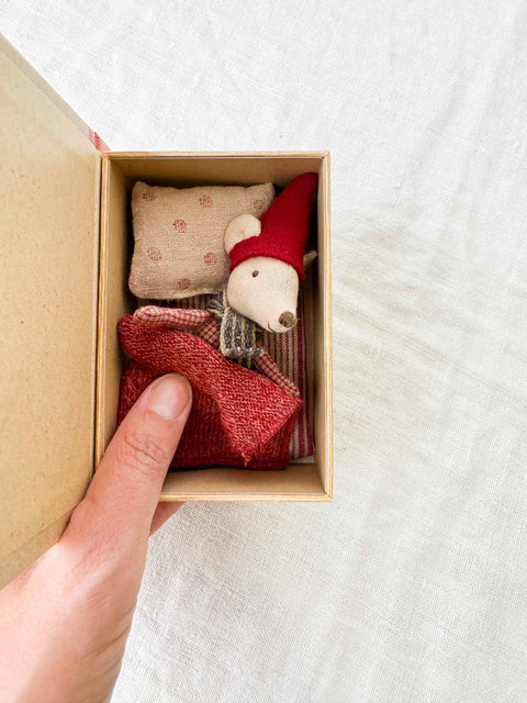 Coffret Livre de noël Souris