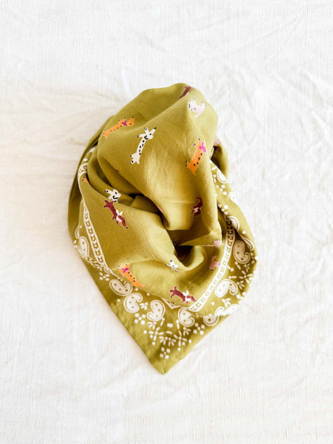 Foulard Teckel Olive