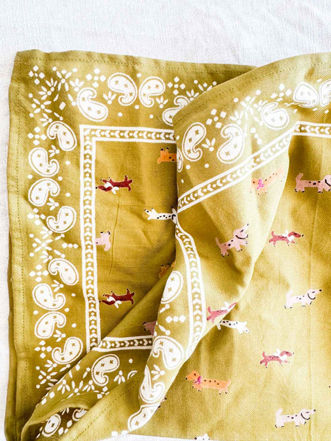 Foulard Teckel Olive