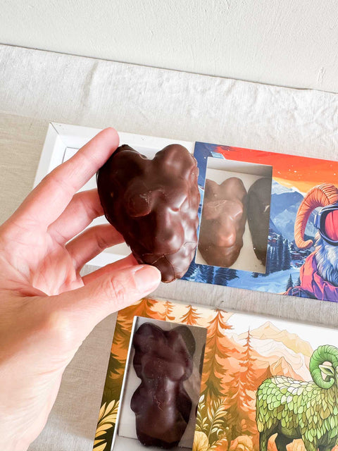 Guimauves en chocolat x5