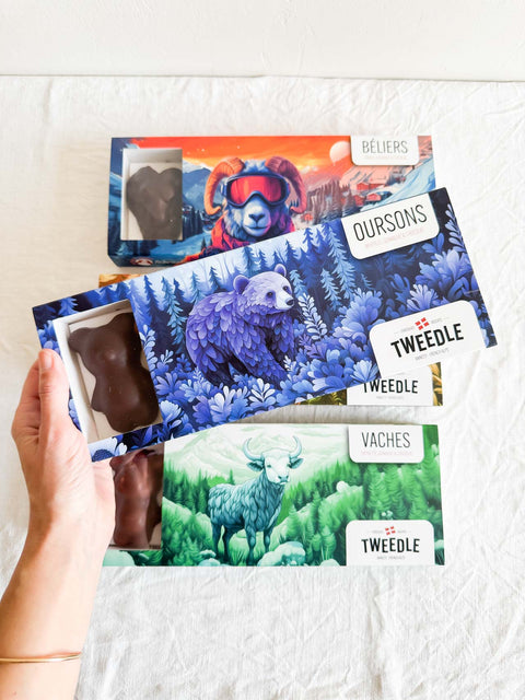 Guimauves en chocolat x5