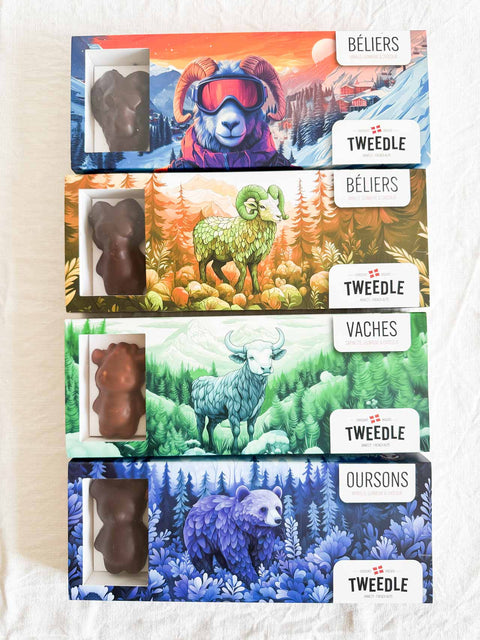 Guimauves en chocolat x5