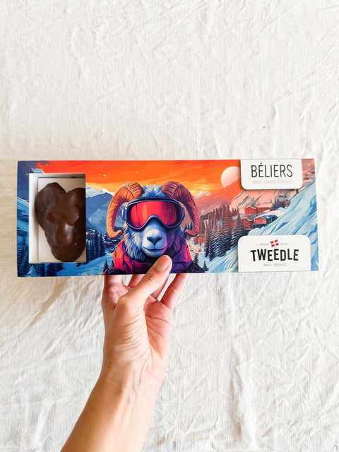 Guimauves en chocolat x5