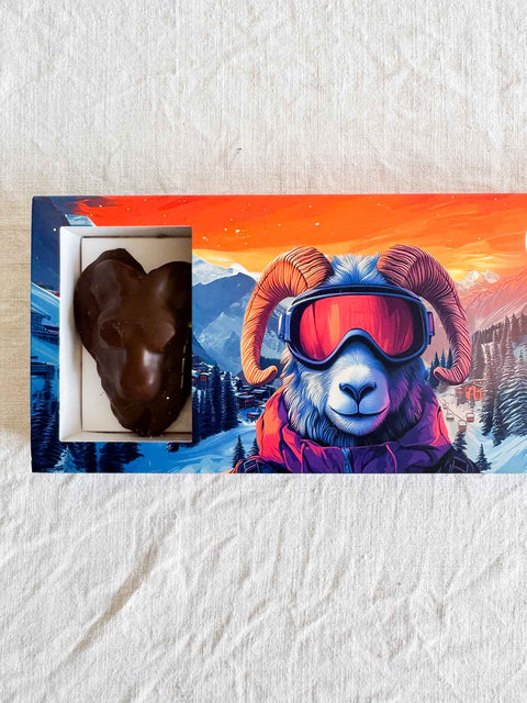 Guimauves en chocolat x5