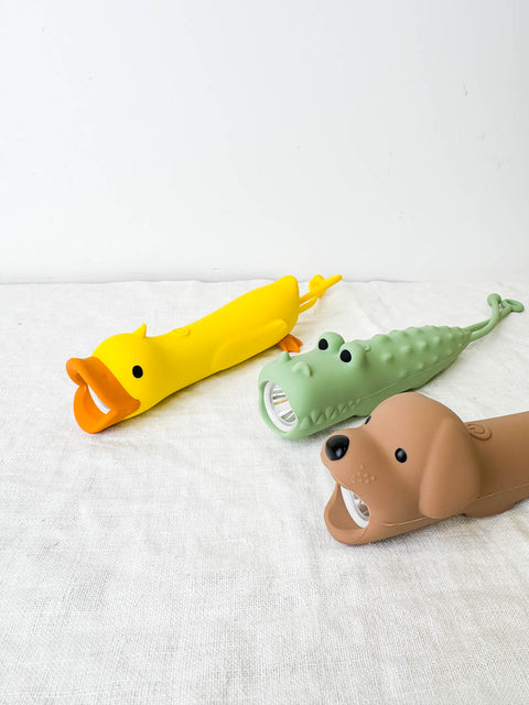 Lampe torche
