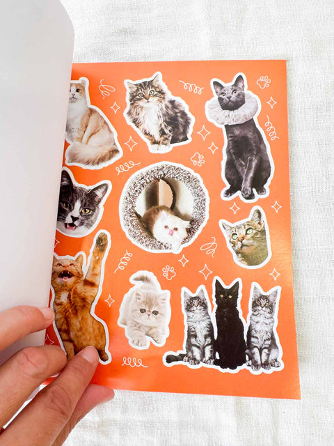Livre stickers Funny cat
