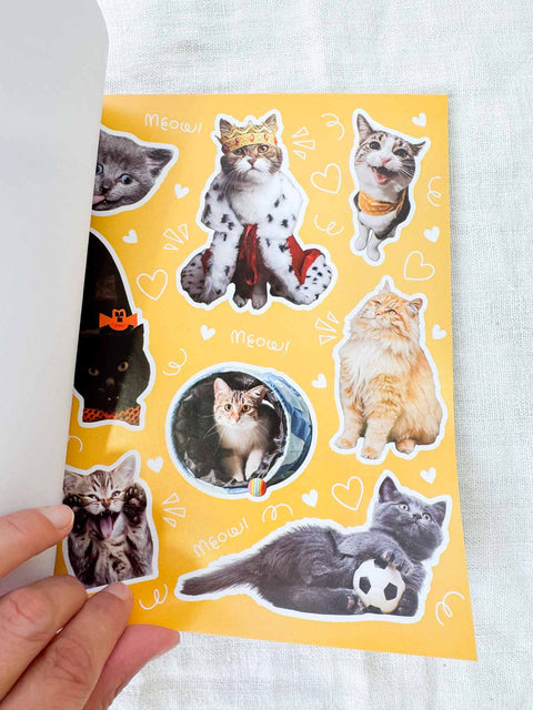 Livre stickers Funny cat