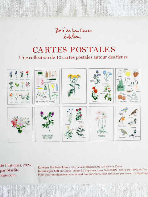 Lot de 10 cartes postales Zoe de las cases