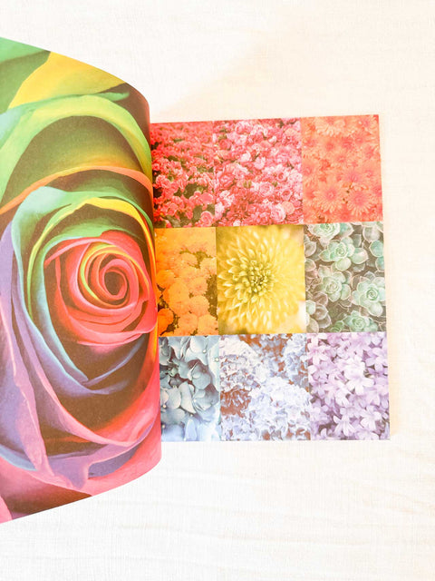 Magazine Collage Vision Rainbow