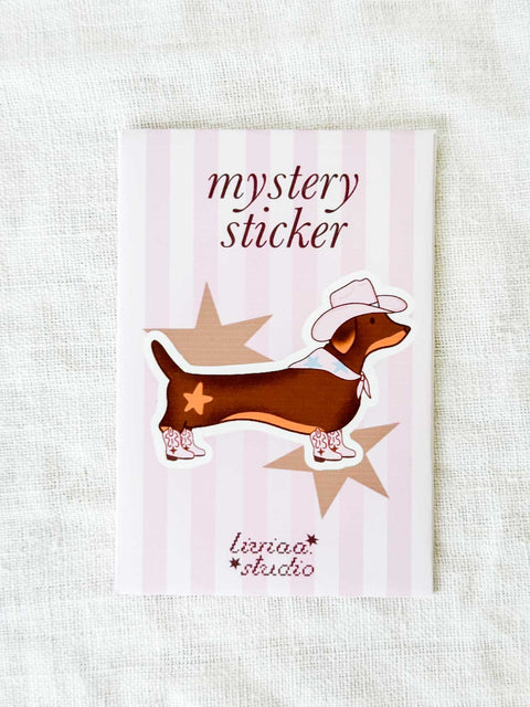 Mystery Stickers - Liviaa studio