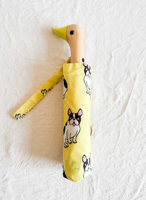 Parapluie - French bulldog