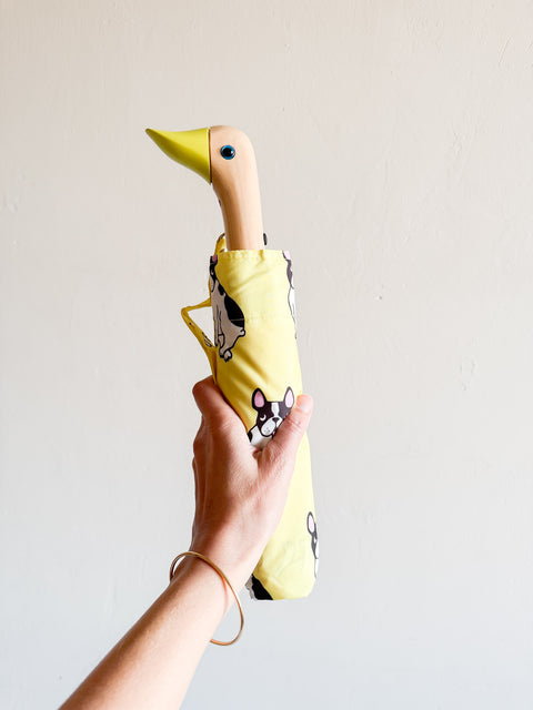 Parapluie - French bulldog