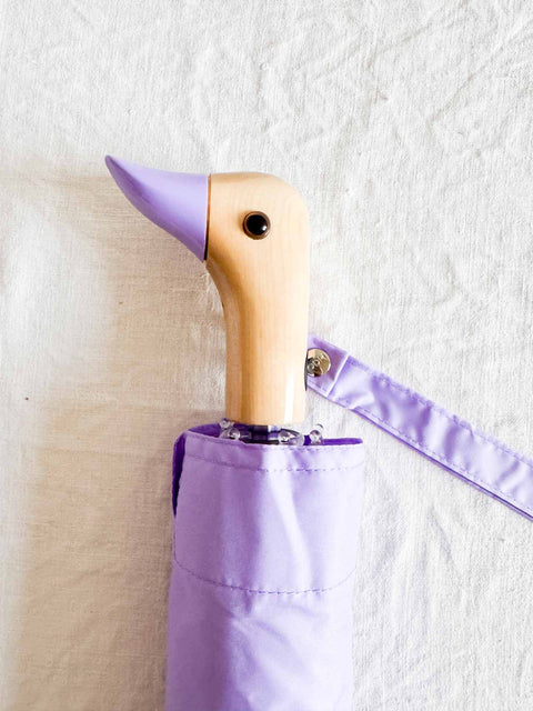 Paraluie canard - Lilas
