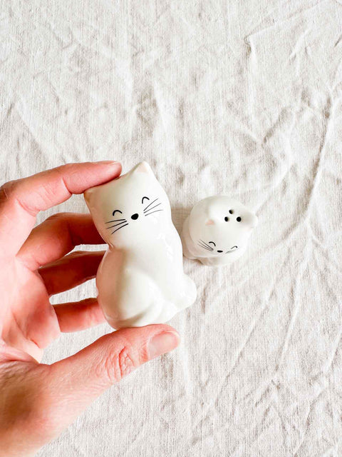 Salière Poivrière - Chat