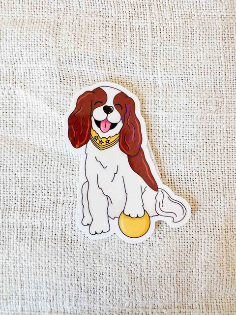 Stickers vinyle holographique – Studio Hawaii  1