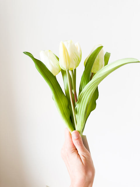 Botte tulipe 30cm