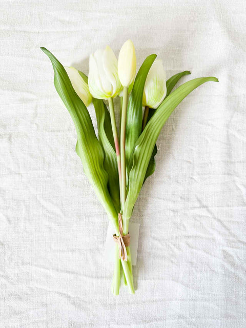 Botte tulipe 30cm