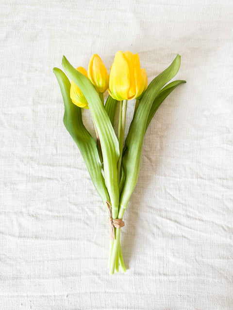 Botte tulipe 30cm