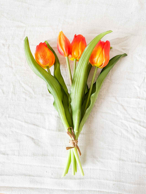 Botte tulipe 30cm