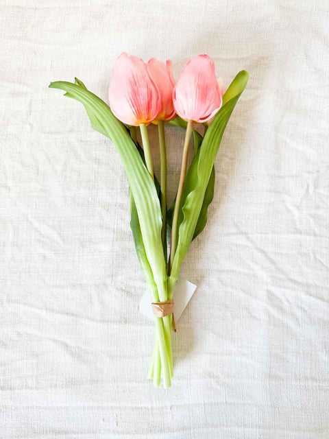 Botte tulipe 30cm
