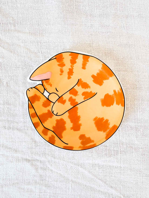 Vide poche Meow & furever