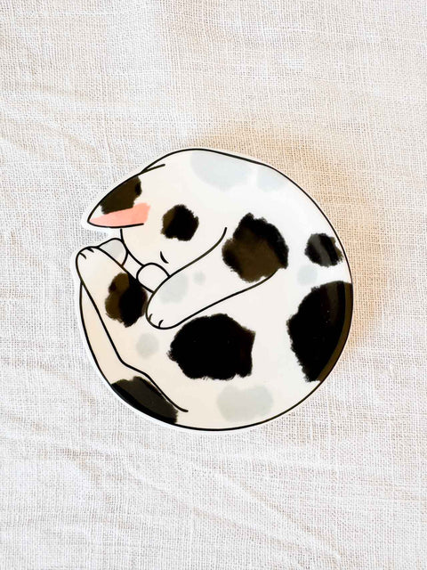 Vide poche Meow & furever