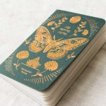 Petit carnet Papillon - Vert Editions du paon - maison mathuvu