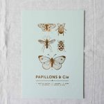 Affichette Papillon - Vert Editions du paon - maison mathuvu