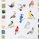 Cahier d'aquarelle - Oiseaux Mathuvu