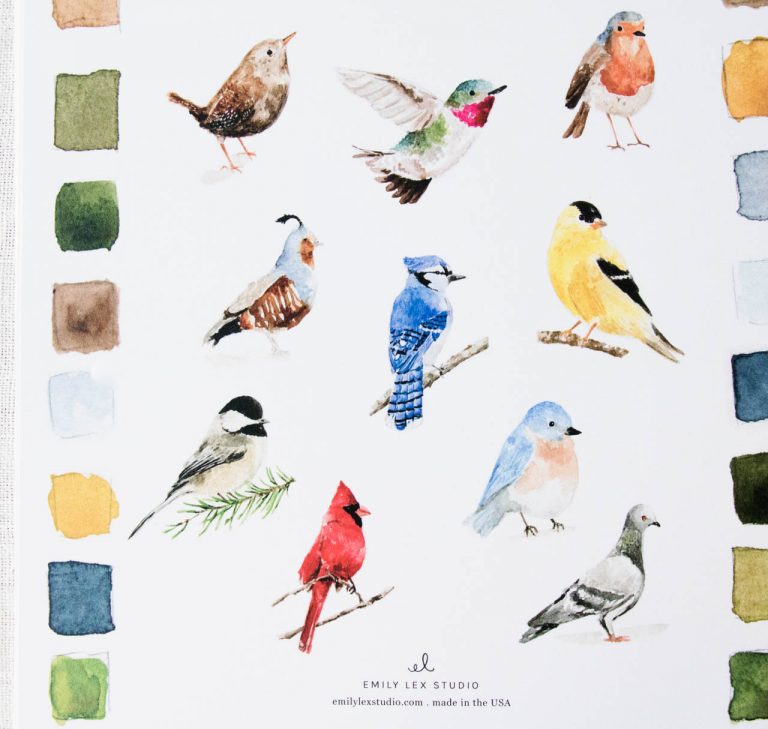 Cahier d'aquarelle - Oiseaux Mathuvu
